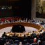 Украина нарушает нормы международного права: в ООН зачитали разоблачающий Киев доклад - КП Благовещенск