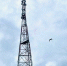 МТС включила сеть LTE в селе амурских казаков - Asn24.Ru