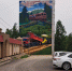 Заплатки на «больных местах» города: граффити — где грань между искусством и вандализмом - Asn24.Ru
