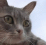 Стрельцам в неприятной форме отольются излишества, Козероги обнаружат у себя дар предвидения - ИА Порт Амур
