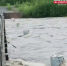 Паводком в районе Экимчана подмыло мост и затопило дорогу. Внедорожнику пришлось вытаскивать КамАЗ (видео) - Amur.Life