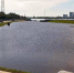 Пляж на «Серебряной миле» Благовещенска скрылся под водой: купание запретили - Asn24.Ru