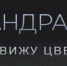Amurlife - Amur.Life