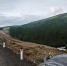 Временный объезд на трассе "Лена" стал доступен для грузовиков - Teleport2001.Ru