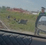 В районе Астрахановки произошло ДТП на железной дороге - ИА Порт Амур