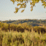 В Приамурье придет летнее тепло - ИА Порт Амур