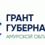 Фестиваль пилонного спорта и проект «На лыжи!»: победители второго конкурса грантов губернатора Амурской области - Asn24.Ru
