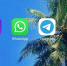 Кремль Telegram и WhatsApp должны остаться в России - Amur.Life