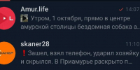 Новости Amur.life теперь доступны в мессенджере MAX - Amur.Life