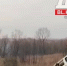 Машина вылетела с трассы в Приамурье - Amur.Life