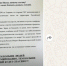 «Руки-ноги отрывает»: до Приамурья дошла интернет-страшилка о массовой волне терактов - Asn24.Ru