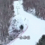 Лыжный отдых в Китае: станция Хунхэгу открывает сезон - Teleport2001.Ru