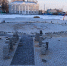 Фото: t.me/amurobl_official - Амурское областное телевидение