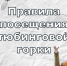Все будет строго: благовещенцам рассказали о правилах посещения тюбинговой горки - Asn24.Ru