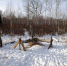 В Амурской области проверили особо охраняемую территорию - Amur.Life