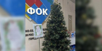 «Чем скромнее, тем больше шансов»: глава Белогорска рассказал об установленной в ФОКе «Елке желаний» - Asn24.Ru