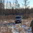 Фото: t.me/ohotaamur28 - Амурское областное телевидение