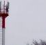 МТС улучшила покрытие сети LTE на въезде в Тамбовку - Asn24.Ru