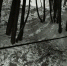Ребенок погиб во время катания на тюбинге в российском городе - Teleport2001.Ru