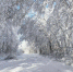 До минус 40 прогноз погоды в Приамурье на 5 января - Amur.Life