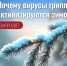 вирусы зима (2).jpg - Роспотребнадзор