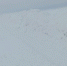 Фото: t.me/mintrans_amur - Амурское областное телевидение