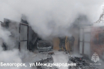 Это была женщина: в МЧС рассказали подробности пожара на Институтской (фото)