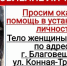 Могла замерзнуть насмерть: благовещенцев просят помочь опознать тело пожилой женщины - Asn24.Ru