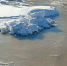 В Шимановске жилой микрорайон залило канализационными водами (фото) - Amur.Life