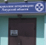 Жестокое обращение: амурчанка заплатит штраф за смерть своей собаки - gtrkamur.ru - ГТРК Амур