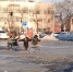 «Недалеко до беды!»: в Благовещенске подростки катаются в продуктовых тележках прямо по парковке - Asn24.Ru