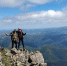 Фото: t.me/min_vst - Амурское областное телевидение