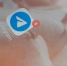 В России начнут ограничивать работу Telegram - Asn24.Ru