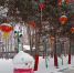 Китайский Новый год наступает 17 февраля - Teleport2001.Ru