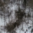 Показаны фото с места крушения вертолета в Амурской области - Teleport2001.Ru