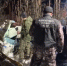 Завершены первоначальные следственные действия на месте падения вертолета в Приамурье - ИА Порт Амур