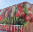Полсотни протоколов составили в Белогорске за незаконную продажу цветов - ИА Порт Амур