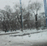 Откачивать воду с улиц начали в Благовещенске - Teleport2001.Ru