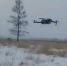 Беспилотник помог инспекторам найти нарушителей в Зейском лесничестве - Teleport2001.Ru