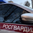 В городе Свободном сотрудники вневедомственной охраны Росгвардии пресекли вывоз около десяти кубов незаконно заготовленной древесины - Росгвардия
