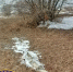 Талая вода залила улицы и огороды села в Свободненском районе - Teleport2001.Ru