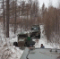 Дорога напролом: амурская организация незаконно создала просеку на заповедной территории - Asn24.Ru