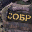 Сотрудники СОБР Управления Росгвардии приняли участие в профилактических рейдовых мероприятиях на территории города Благовещенска и Благовещенского муниципального округа - Росгвардия