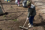 Благовещенцы вышли на всероссийский субботник
