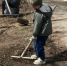 Благовещенцы присоединились к всероссийской масштабной акции - Amur.Life