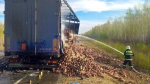В Приамурье на федеральной трассе сгорел полуприцеп с грузом - gtrkamur.ru