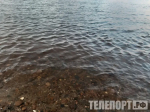 Незаконно брал воду из реки предприниматель и теперь заплатит штраф