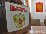 Досрочное голосование в Приамурье закрывают жители Кухтерина Луга