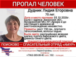 Шла по дороге и плакала: в Приамурье ищут пенсионерку, которая нуждается в медпомощи