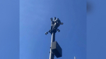 Новые камеры на амурских дорогах смогут распознавать лица водителей